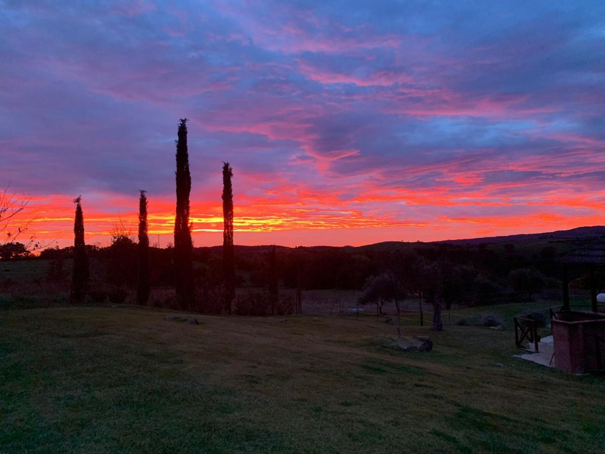 Bio Agriturismo La Bell'Antiglia Villa Montemerano Eksteriør billede